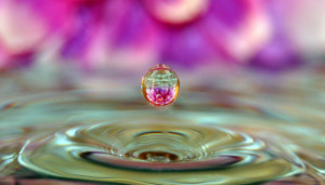 Water droplet flower