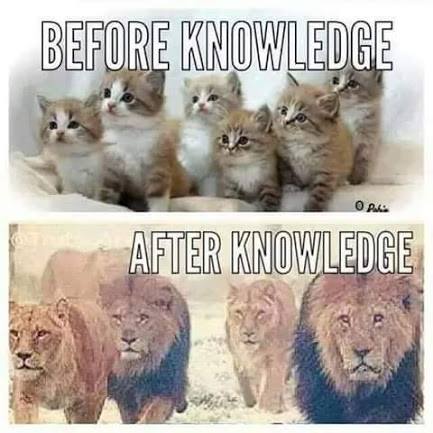 Before Knowledge, After Knowledge
