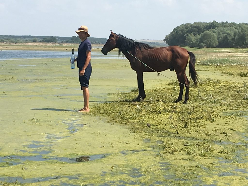 Cristi and horse
