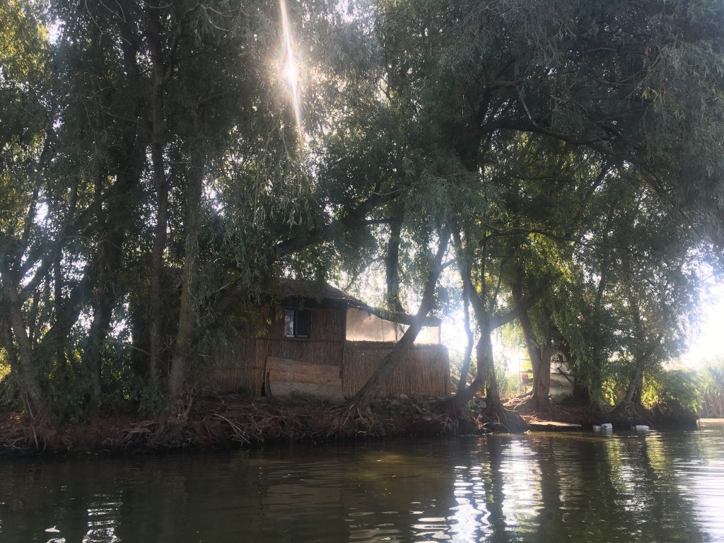 Enchanted dwelling
