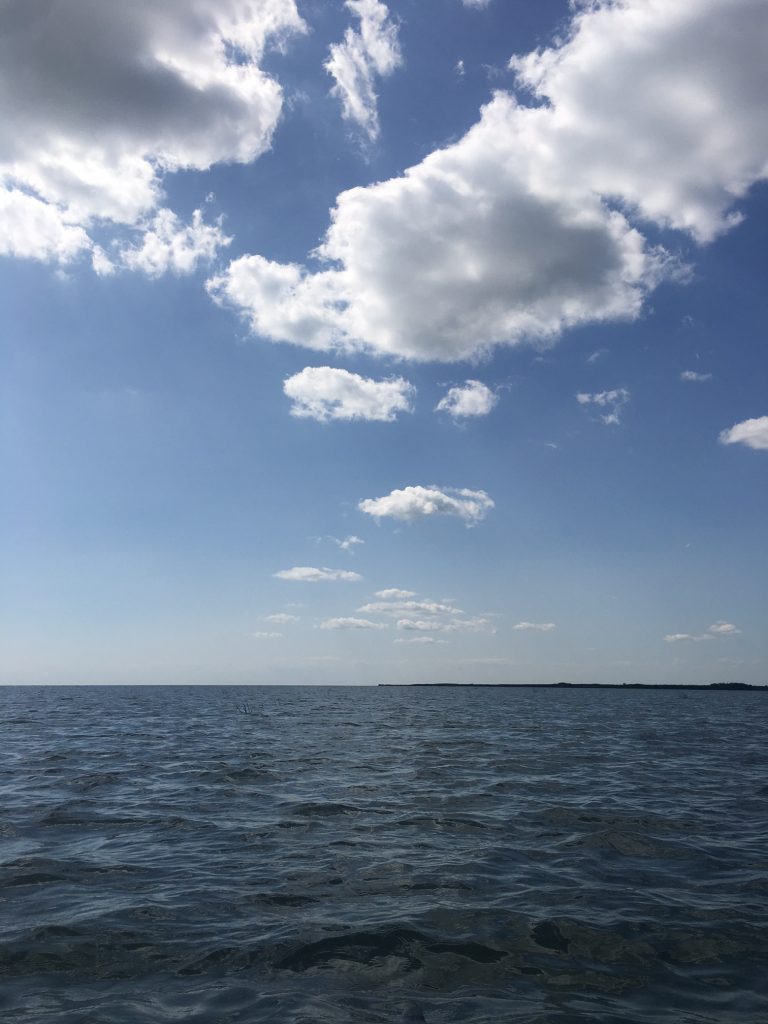 Sea and Sky