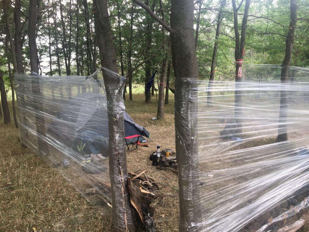 Shelter from the storm