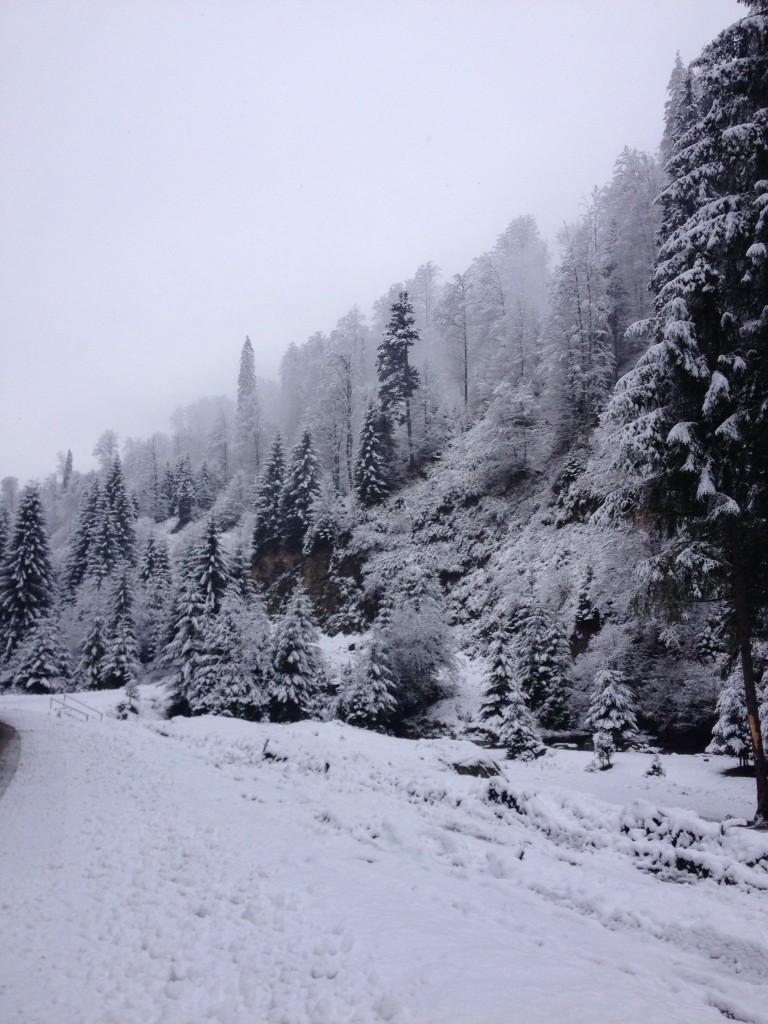 Transylvania First Snow 2015