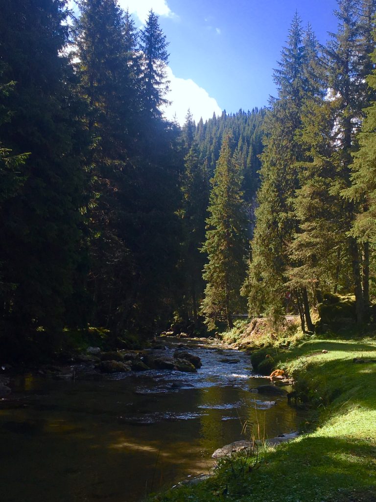 River on our walk out