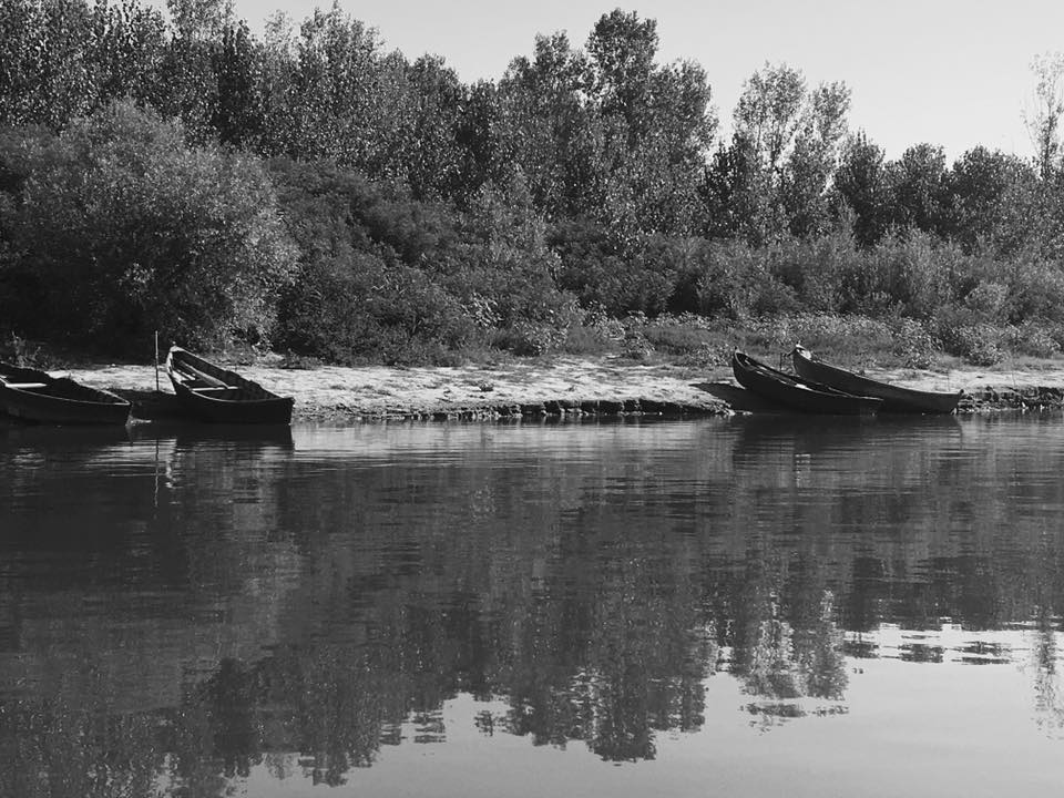 blk and wht boats