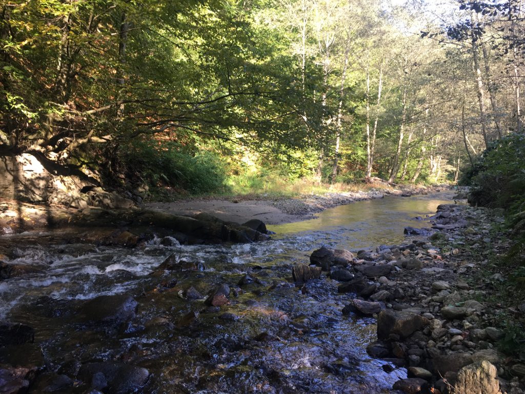 River in morning leaving Sar