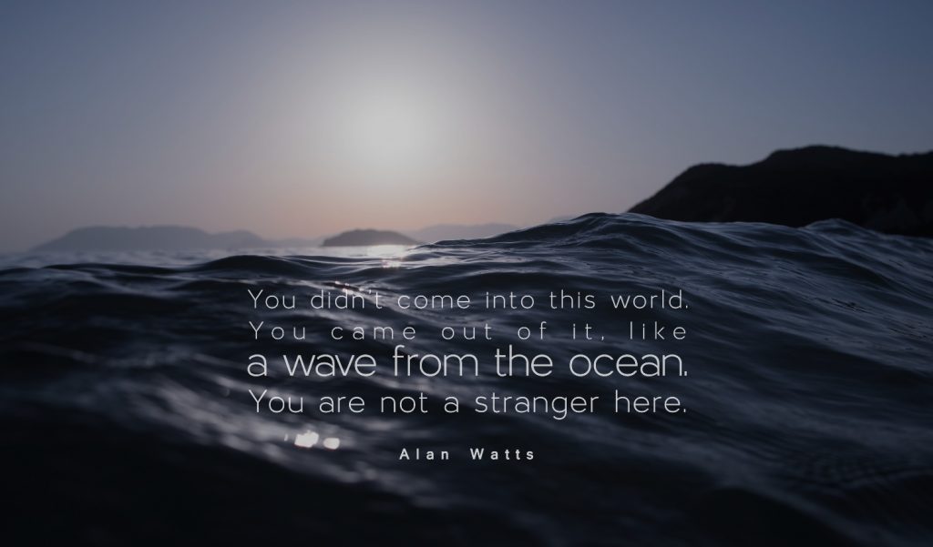 Alan Watts Ocean quote